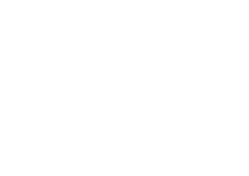 Photizo Vetcare Logo White