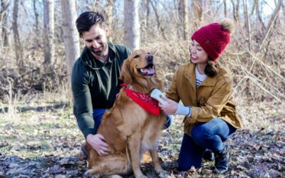 Red Light Therapy for Dogs at Home